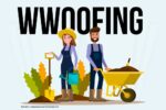 Wwoofing Deutschland Schweden Kosten Aeltere